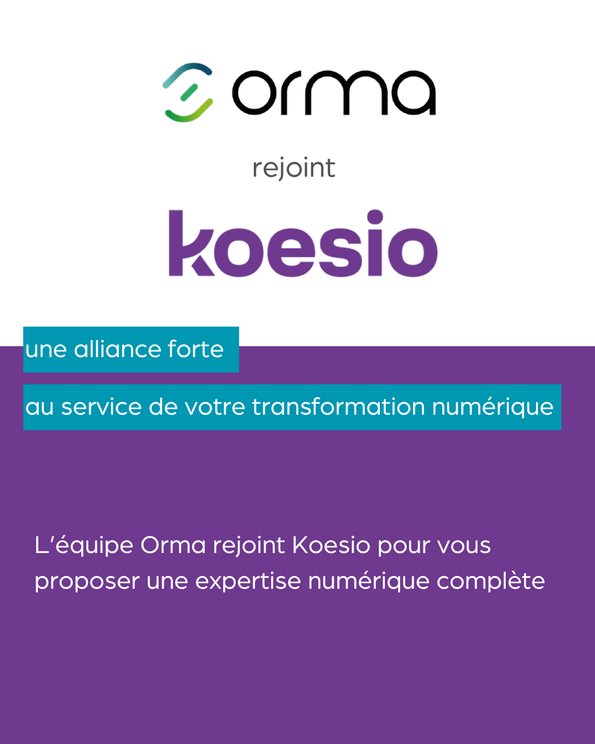 Orma groupe : au cœur de l'expansion Koesio Aura Informatique - Article ...