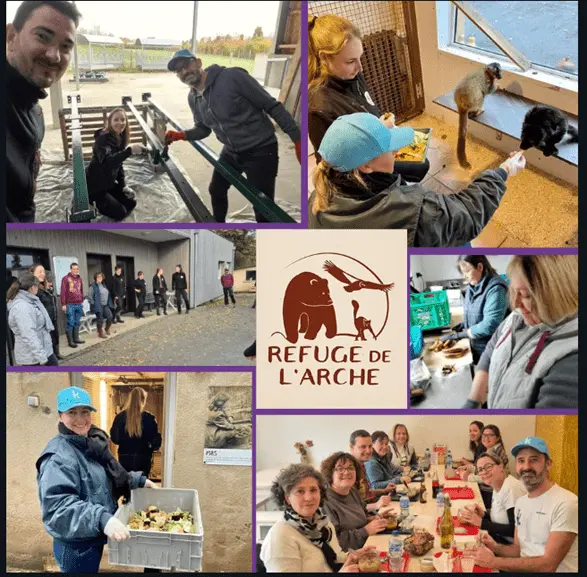 Refuge De LArche koesio